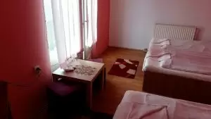 Cameră cu 2 paturi - Motel Bucura Hațeg, județul Hunedoara - Transilvania